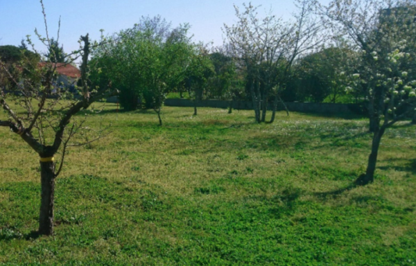 TERRAIN A BATIR – TOURNEFEUILLE