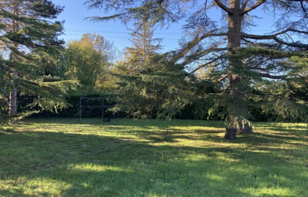 TERRAIN DE 1003 M² PROCHE DU CENTRE DE LEVIGNAC